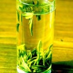green tea, Anti-Aging
