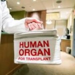 Organ transplant, stem cell