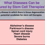 Diseases Therapies, Stem Cell