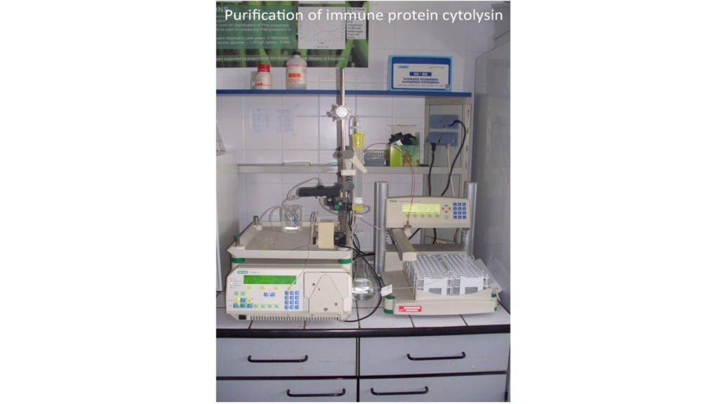 purification of immune protein cytolysin, Cancer Research