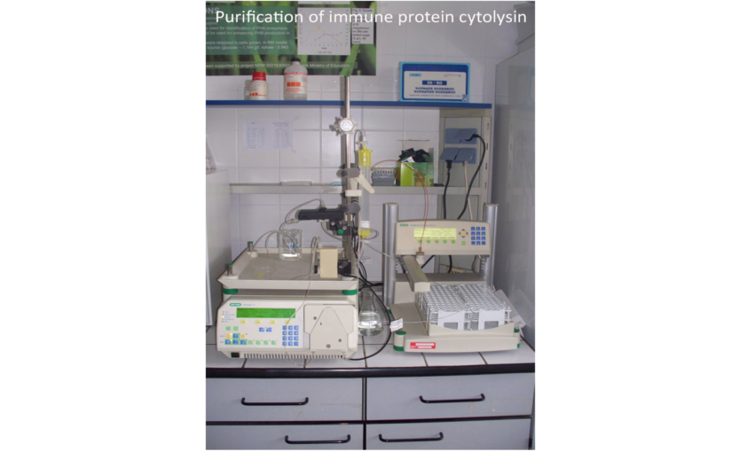 purification-of-immune-protein-cytolysin