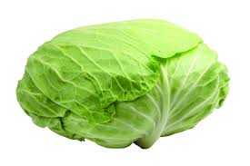 cabbage, cancer
