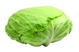 cabbage, cancer