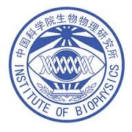 Institute of Biophysics, Cancer Research