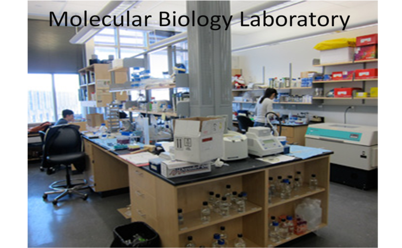 molecular-biology-laboratory